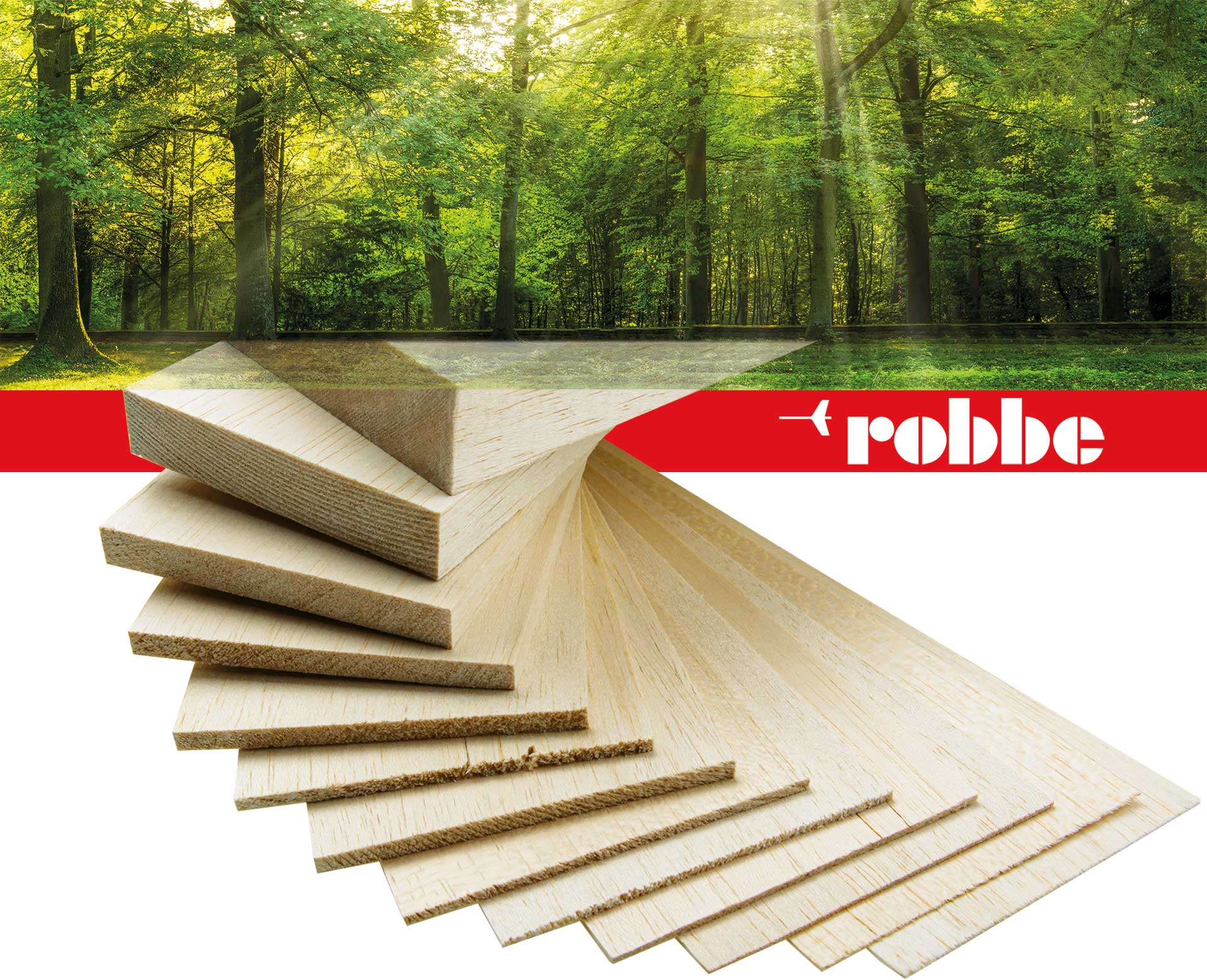 Robbe Modellsport PLANCHE DE BALSA 1,0/100/1000MM