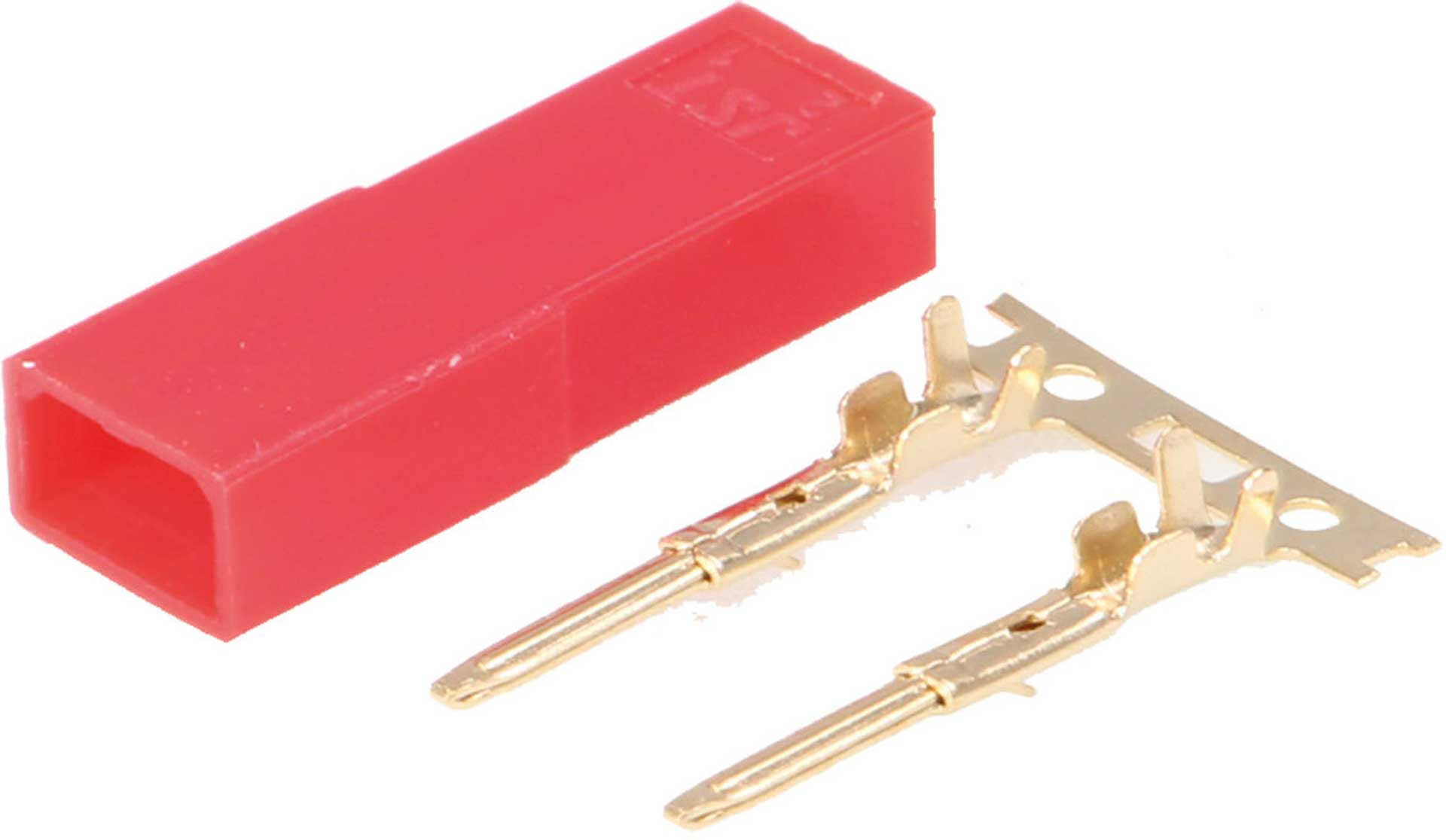 Robbe Modellsport CONNECTEURS BEC (MALE)  10 PIÈCES